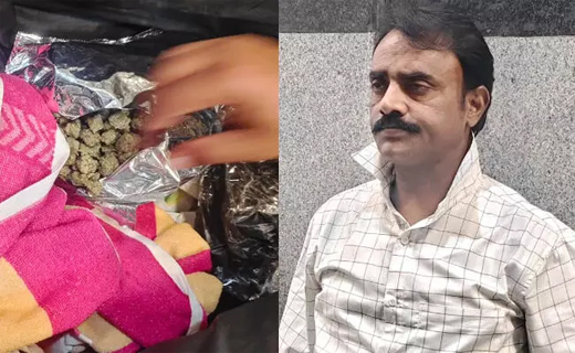Ganja smuggling 